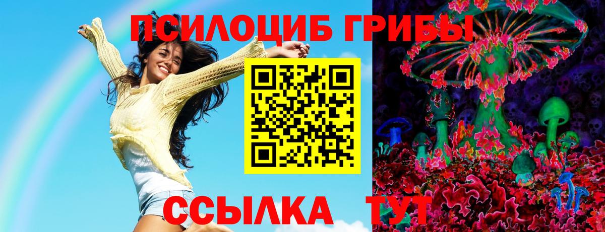 Псилоцибиновые грибы ЛСД Каменка